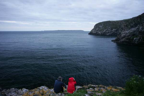 Bobby and Amber (taken by Brian)looking across the sea to Skokholm. She gone now. Bobby waited another eleven years before he landed on Dream Island