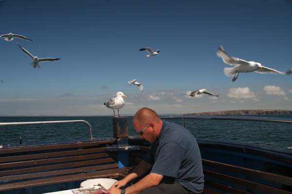 Karl. Boatman, Pirate