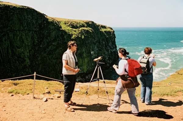 Volunteer Warden Diddley. 2004