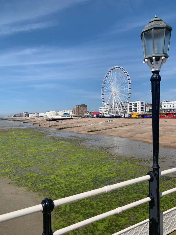 View of Worthing seafront and the Big Wheel from the Pier.