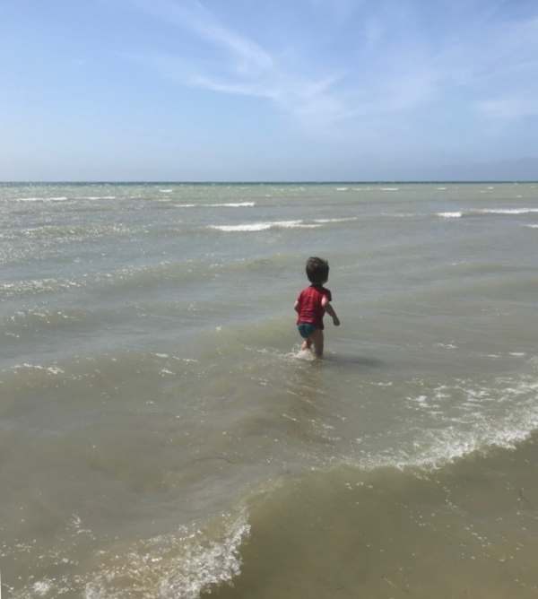 Little Jay playing in the sea at Worthing.