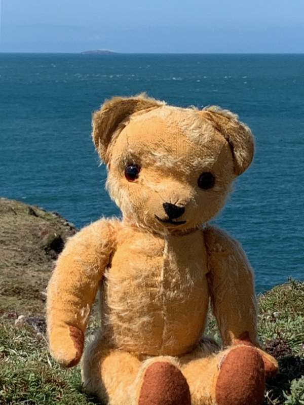 Eamonn on Skokholm: Look above my right ear and you will see Grassholm Island. Home of 39,000 pairs of gannets and the most westerly point in Wales.