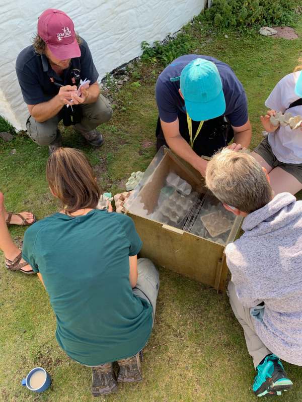 Checking the egg boxes.