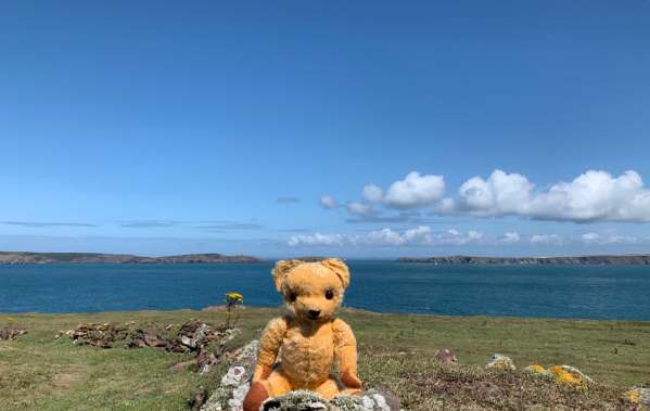 The mainland to the right (the Deer park of the Marloes peninsular). Jack Sound behind my left ear and Skomer to the left.