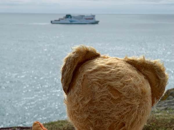 Looking out to sea, a big ship approached. The Irish Ferry to Rosslare.