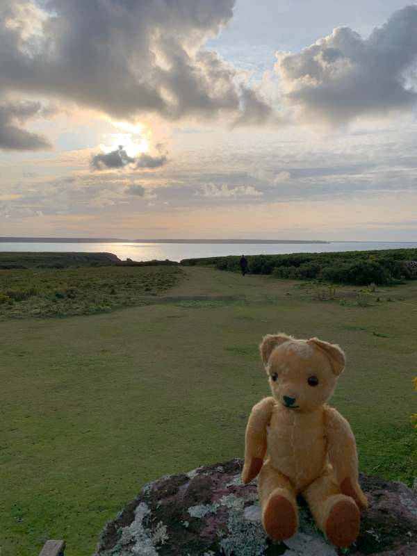 Time to go home. Eamonn sitting on Skokholm Island, with the sea visible in the background.