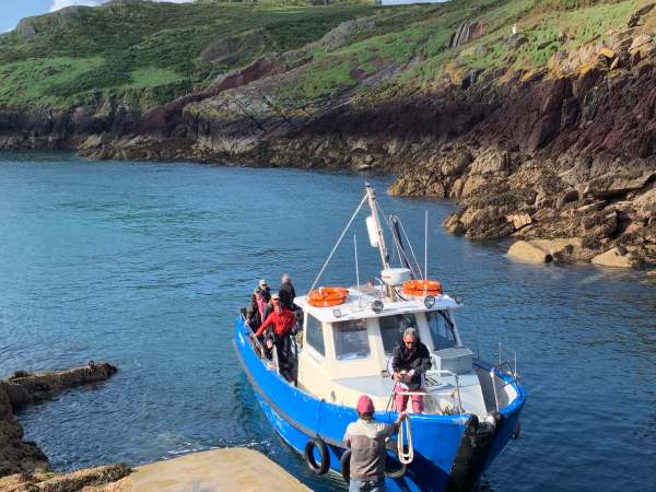 New, excited visitors arriving at Skokholm on the Dale Princess.