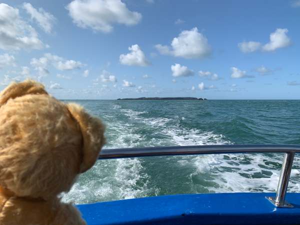 Eamonn looking back at Skokholm Island over the stern of the Dale Princess.