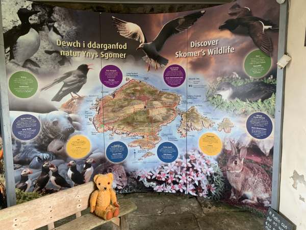 Large display with Eamonn sat in front: Discover Skomer's Wildlife.