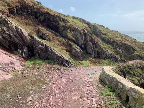 The "releasing wall" for the Storm Petrels on Skokholm Island.