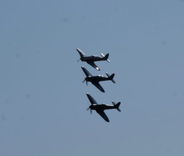 Three Sea Furies banking heavily in the skies at Duxford Airshow 2019.