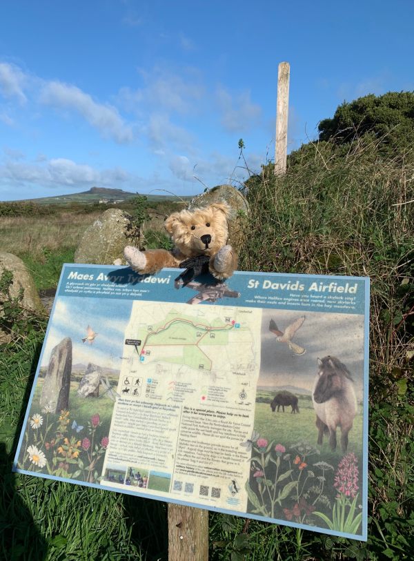 Bertie stood over the sign: Stopping again at St David's Airfield, now a nature reserve. Where once Halifax bombers roared off to protect the western approaches, there are now skylarks. Hen harriers in winter.