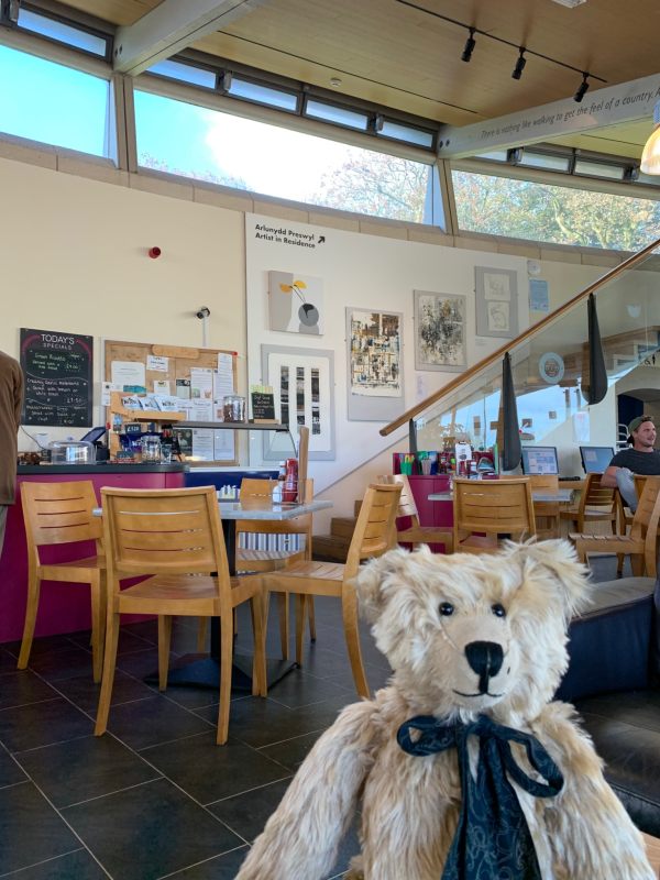 Inside Oriel y Parc. Very nice café. Bertie is sat front right facing the camera.