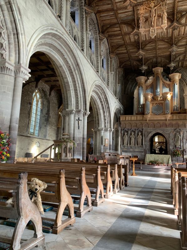 Inside St David's Cathedral. Bertie is bottom left in the pews.