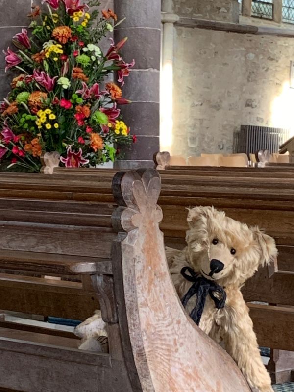Close-up of Bertie in the pew.
