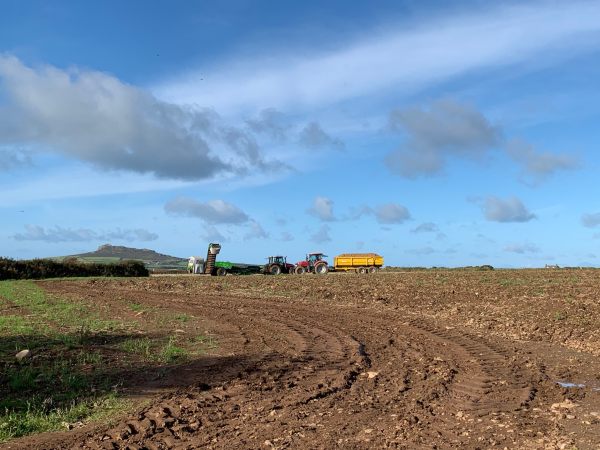 Digging up the spuds in a beautiful landscape.