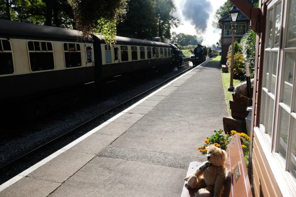 West Somerset Railway - Busy time at Crowcombe Heathfield.