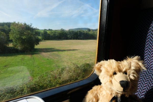 West Somerset Railway - Bertie sat in a coach at a window seat.