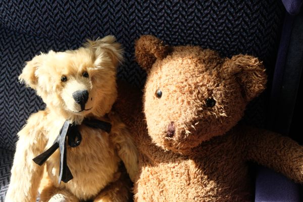 West Somerset Railway - Bertie sat next to another bear on the train.