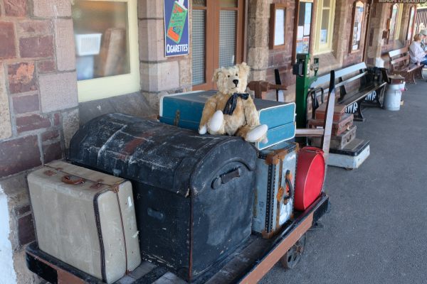 West Somerset Railway - Bertie sat on a luggage trolley at Dunster Station.