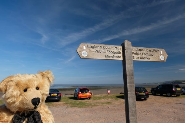Bertie standing by a sign pointing towards Minehead to the left and Blue Anchor to the right.