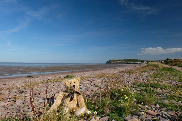 Bertie on the beach on the way to Blue Anchor. Wales across the bay in the distant horizon.