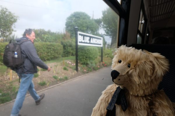West Somerset Railway - Bertie sat in a carriage by the window at Blue Anchor Station.