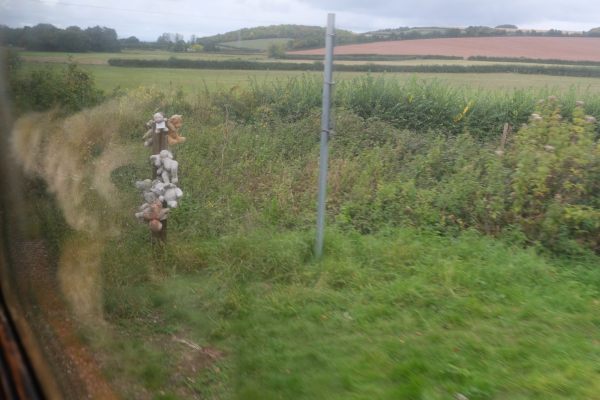 West Somerset Railway - "Teddy Bear Crossing". A post with a large number of Teddy Bears on it.