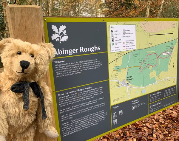 Bertie by the Abinger Roughs information board.