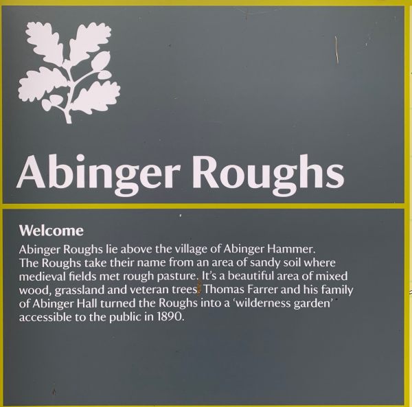 Information about Abinger Roughs: Abinger Roughs lie above the village of Abinger Hammer. The Roughs take their name from an area of soil where medieval fields met rough pasture. It's a beatiful area of mixed wood, grassland and veteran trees. Thomas Farrer and his family of Abinger Hall turned the Roughs into a 'wilderness garden' accessible to the public in 1890.