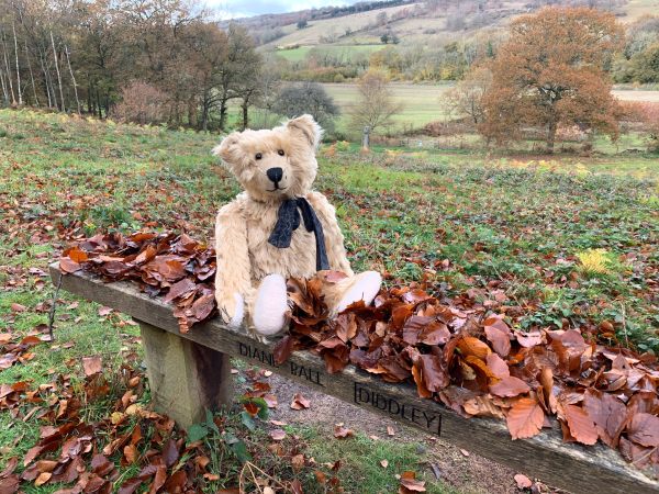 Bertie sat on Diddley's Bench. Both are covered in autumn leaves!
