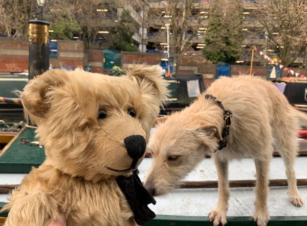 Bertie being sniffed by a dog on the roof of a boat.