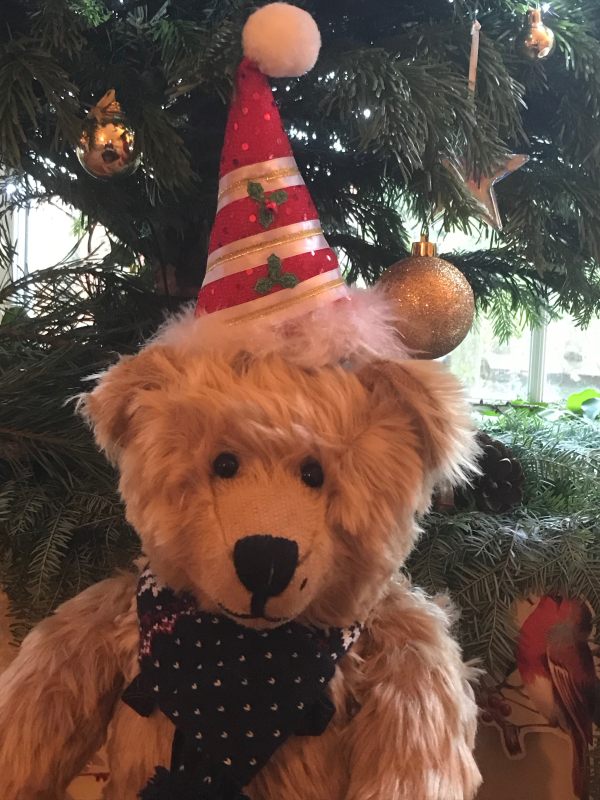 Bertie in a festive hat in front of the Christmas Tree.