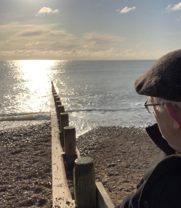 Bobby sat on a groyne in Worthing, looking out to sea.