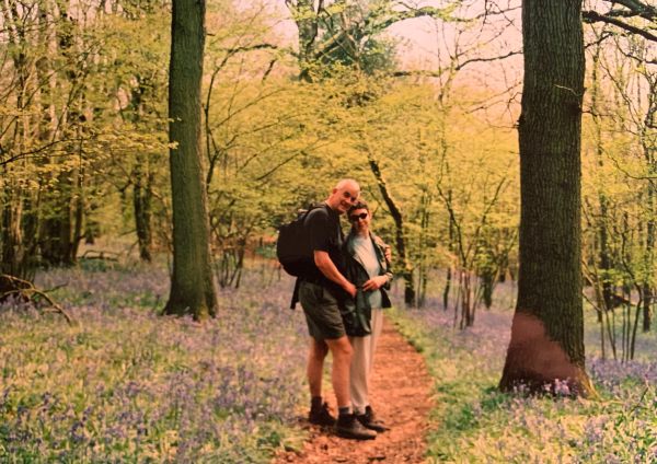 Bobby & Diddley walking through a bluebell wood.