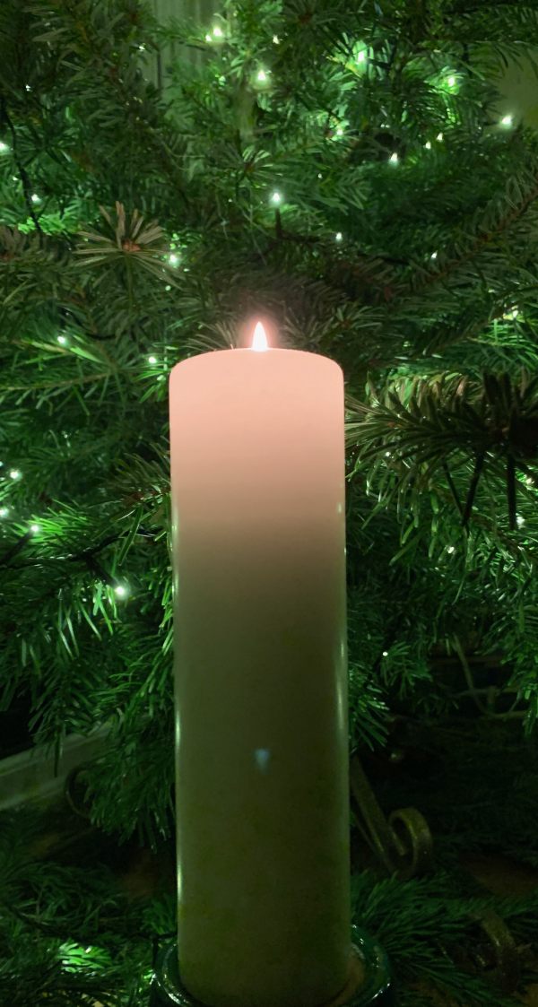 A lit Candle for Diddley in front of a Christmas Tree.