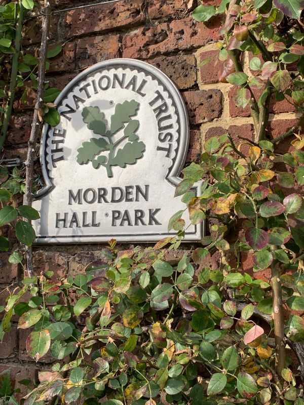 Wall plaque for the National Trust Morden Hall Park, on an ivy-covered wall.
