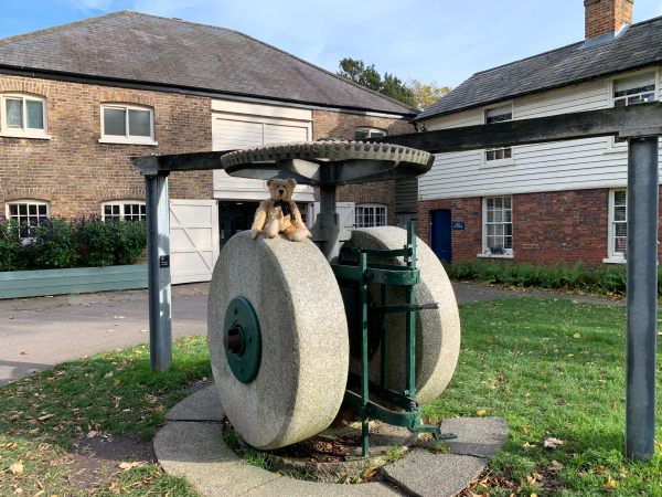 Bertie on top of one of the stone wheels from the snuff mill days.