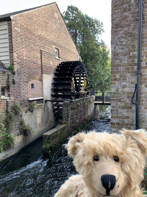Bertie in front of the old Snuff Mill, with the cosmetically restored water wheel behind.