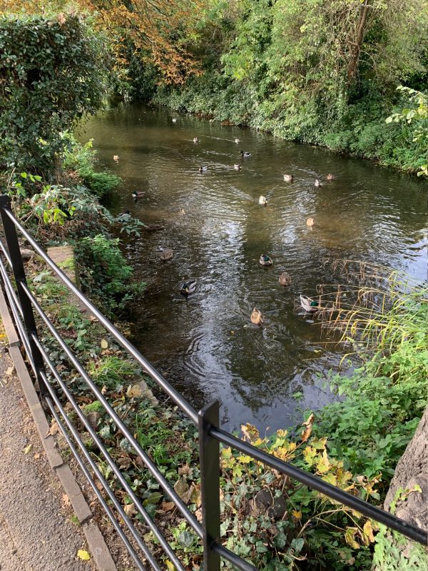 A view of the River Wandle.