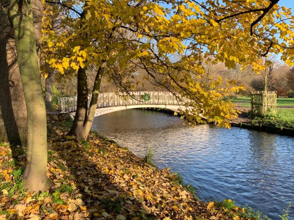 Looking across the River Wandle at one of the iron bridges crossing it.