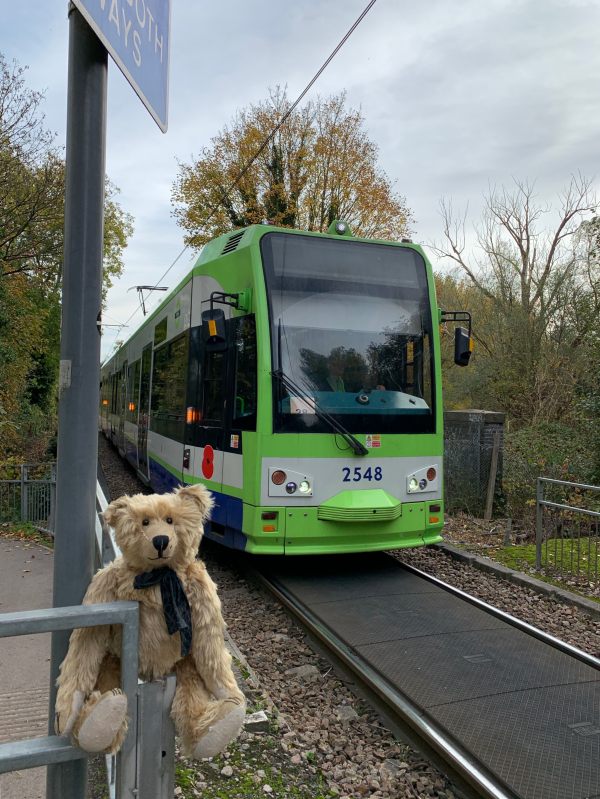 Croydon Tram no 2548 on the tramway in Morden Hall Park.