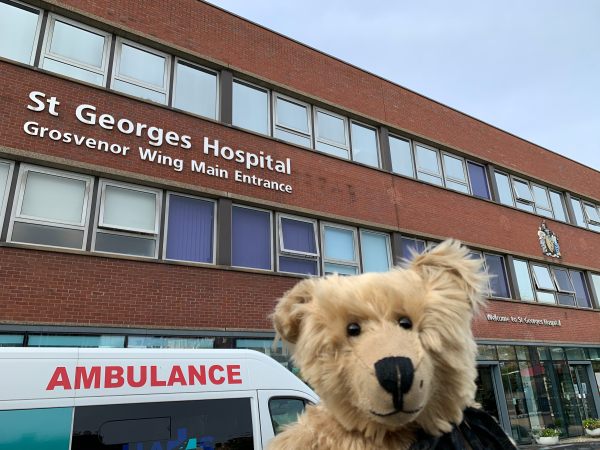Bertie posing outside St George's Hospital.