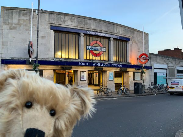 Bertie posing outside South Wimbledon Station.