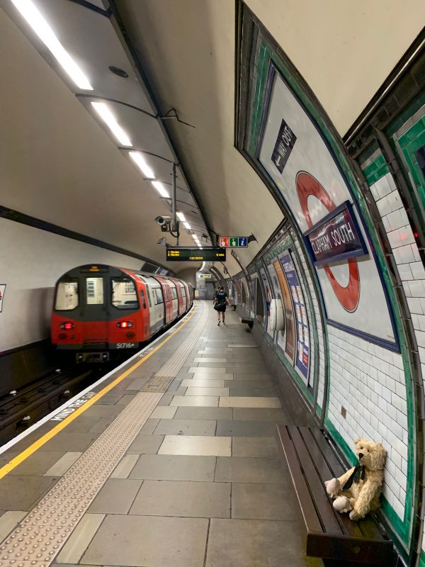 Bertie sat on a bench at Clapham South Station. Roundel on the wall above. Train departing to Morden heading away from the camera.