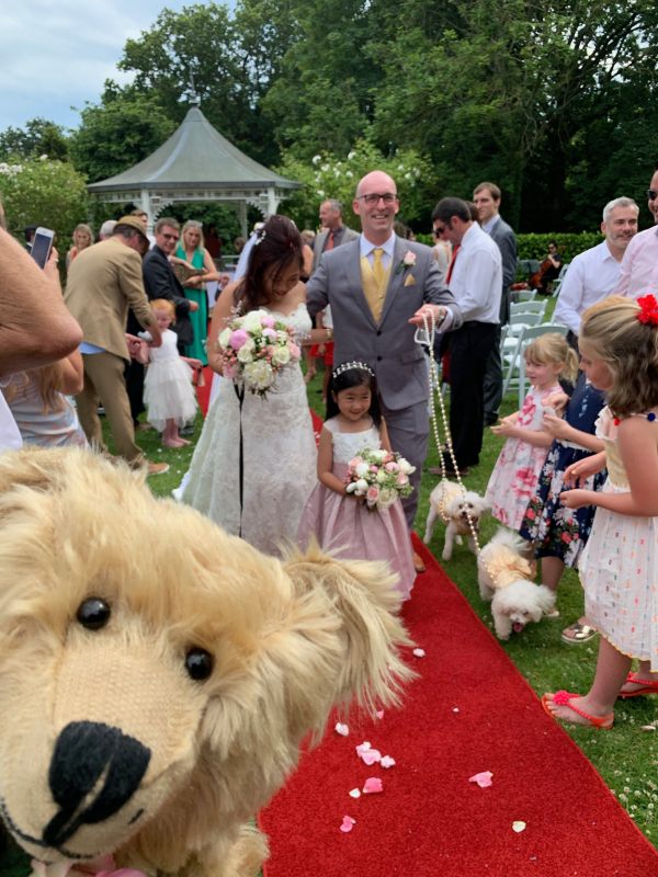 Wedding couple walking down the red carpet. Bertie's head is in the bottom left-hand corner.