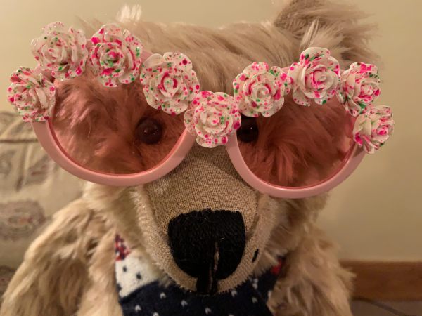 Bertie wearing pink glasses, with flowers over the top rims.