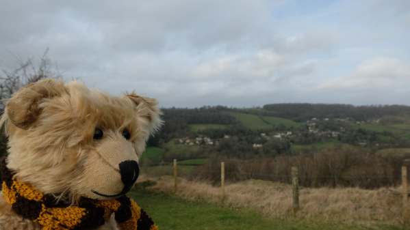 Bertie, on the left of the picture, looking over the view from Swift's Hill.