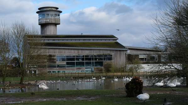 Slimbridge visitor centre.