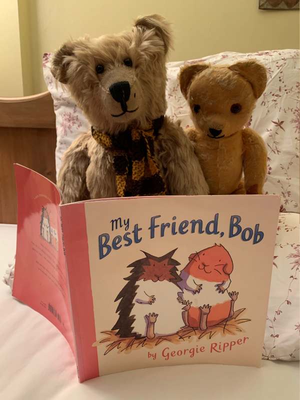 Bertie and Eamonn reading a book "My Best Friend, Bob" by George Ripper.